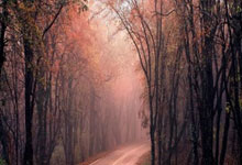 冠军未来篇|田方然:成功不止一种方式.