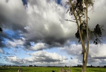 WELLBET官网:来自C罗球迷的新双骄之争?姆总暂时略胜一筹!.