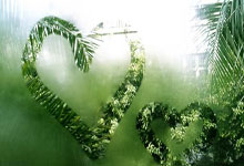 乌克兰要求将伊朗踢出世界杯:向俄罗斯提供武器.