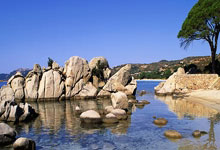 乔科维奇克服伤病逆转胜 阿尔卡拉斯无缘澳网四强.